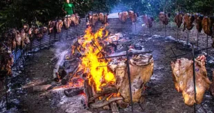 Turismo gastronómico: la Provincia crea un nuevo régimen