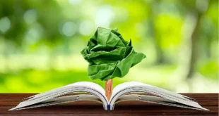 Política de educación ambiental