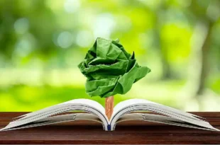 Política de educación ambiental