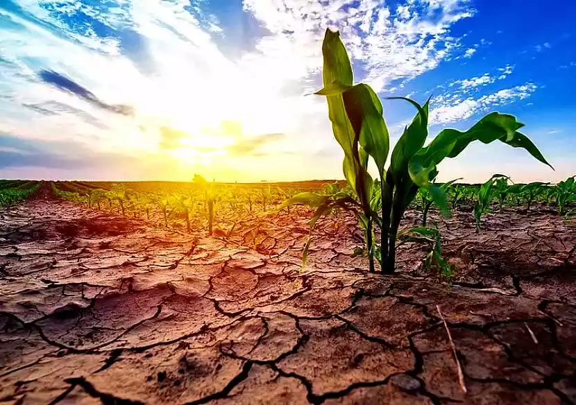 Fenómeno climático La Niña en primavera