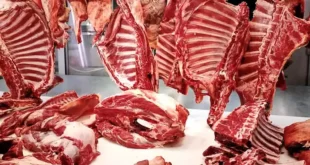 exportaciones de Carne con hueso