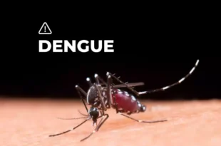 Prevención del Dengue