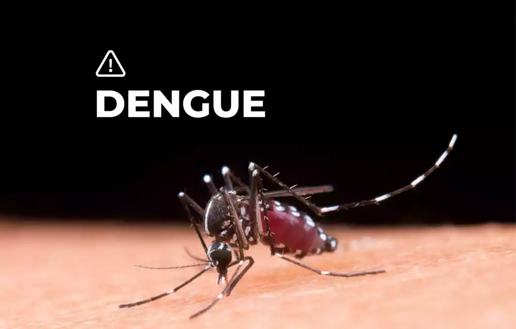 Prevención del Dengue