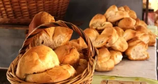 Fiesta de la Galleta de Campo: Tomás Jofré se prepara para otra celebración tradicional