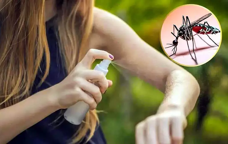 Alerta sanitaria por el dengue: refuerzan la prevención ante viajes 1 ANMAT prohibió un repelente