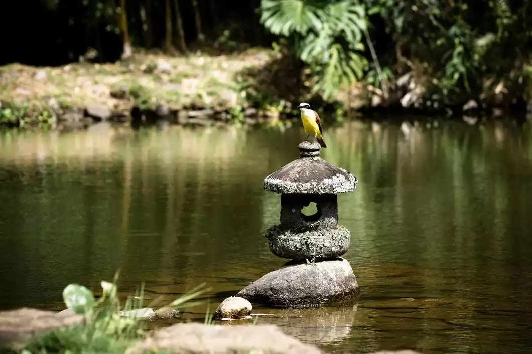 Cómo usar un tanque de agua horizontal para decorar el hogar y el jardín