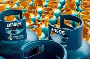 ANSES anunció el regreso del Programa Hogar