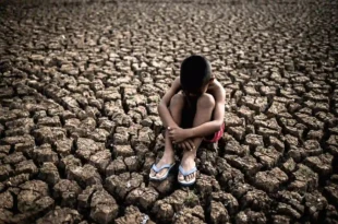 Milei y el cambio climático