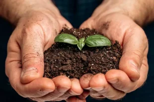 congreso agroecologia