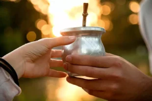 El mate, un clásico argentino con beneficios y precauciones