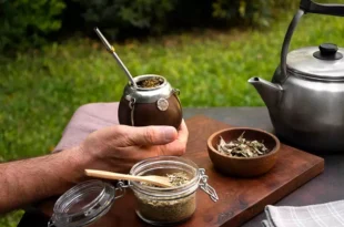 Tomar mate en verano