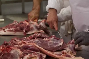 exportaciones de carne para Filipinas