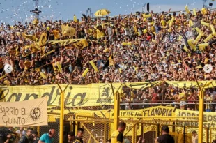 popular flandria