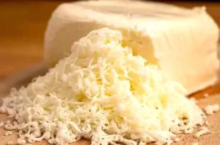 marca de queso muzzarella