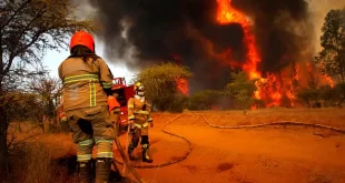 Incendios Forestales: Preocupación y Claves para Evitarlos