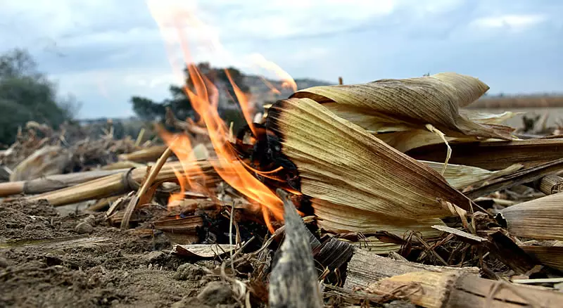 Incendios Forestales: Preocupación y Claves para Evitarlos