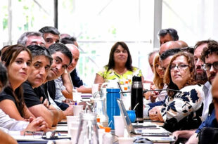 Gremios docentes