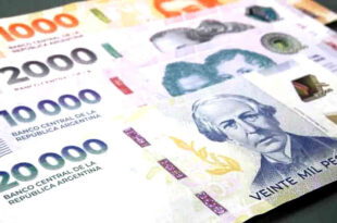Pagos ANSES en febrero 2025