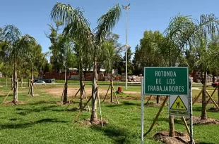 Mantenimiento del municipio