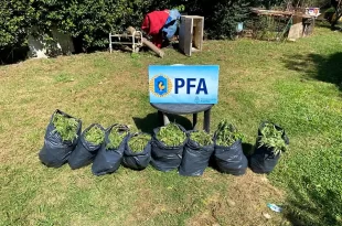 La PFA secuestró 22 kilos de droga