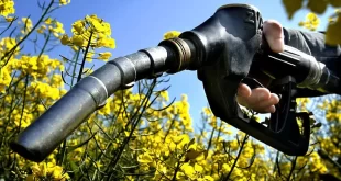 Aumentan los biocombustibles