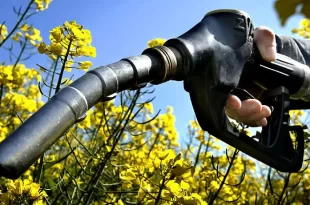Aumentan los biocombustibles