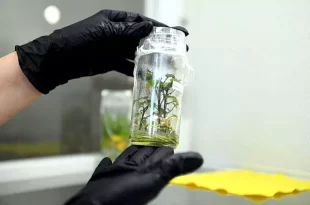 La Provincia busca fortalecer el desarrollo de biotecnología