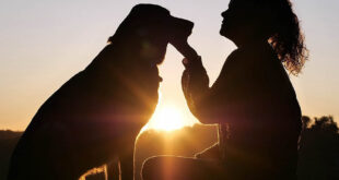 día del animal