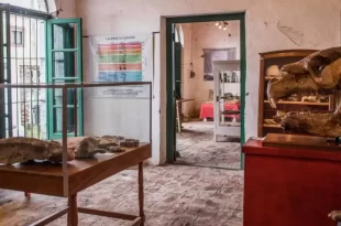 Museo Casa Ameghino