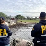 zoológico clandestino a 9 animales en cautiverio