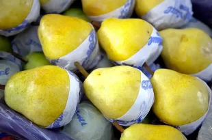 frutas frescas argentinas