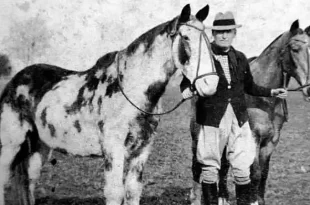 La travesía de Mancha y Gato cumple cien años