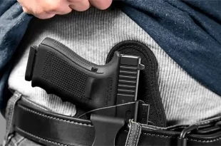 Avanza la simplificación de trámites para a la tenencia de armas