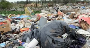 Cómo se debe tratar la basura