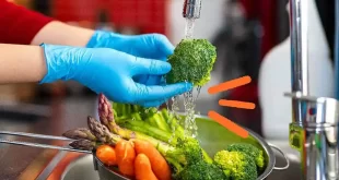 Manipulación de Alimentos
