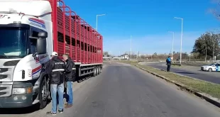 Senasa intensifica su presencia en las rutas con 1700 inspecciones