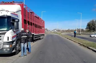 Senasa intensifica su presencia en las rutas con 1700 inspecciones