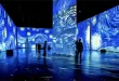 Van Gogh: una experiencia de arte inmersiva llega a Luján