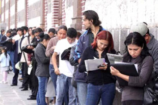 Puente al Empleo
