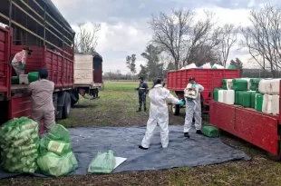 envases vacíos de fitosanitarios