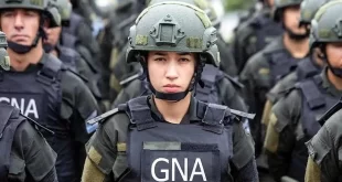 reformas en las fuerzas de seguridad federales
