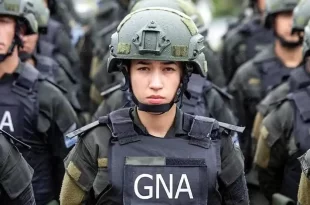 reformas en las fuerzas de seguridad federales