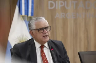 Ricardo López Murphy presentó nueva moneda