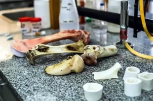 Científicos UNLu desarrollan biomateriales