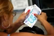 anses calendario