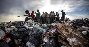 Ratas y los basureros a cielo abierto