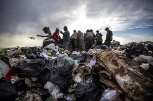 Ratas y los basureros a cielo abierto