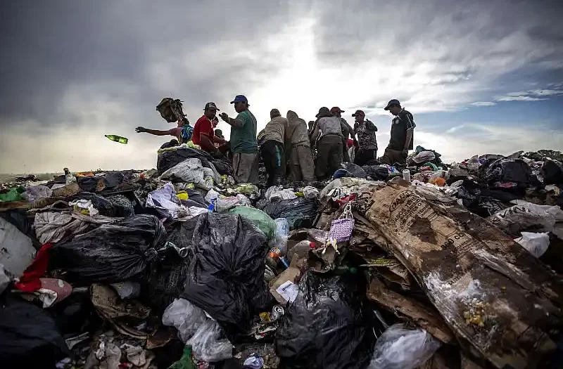 Residuos ratas y los basureros a cielo abierto