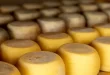 Listerosis en la elaboración de quesos