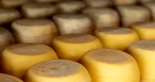 Listerosis en la elaboración de quesos